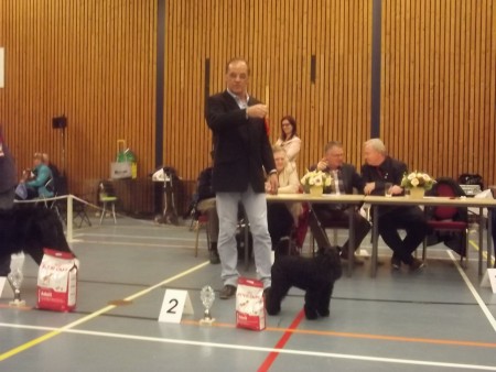 16-11-2014 KC Gorinchem 1EX - BOB - 2 BIG